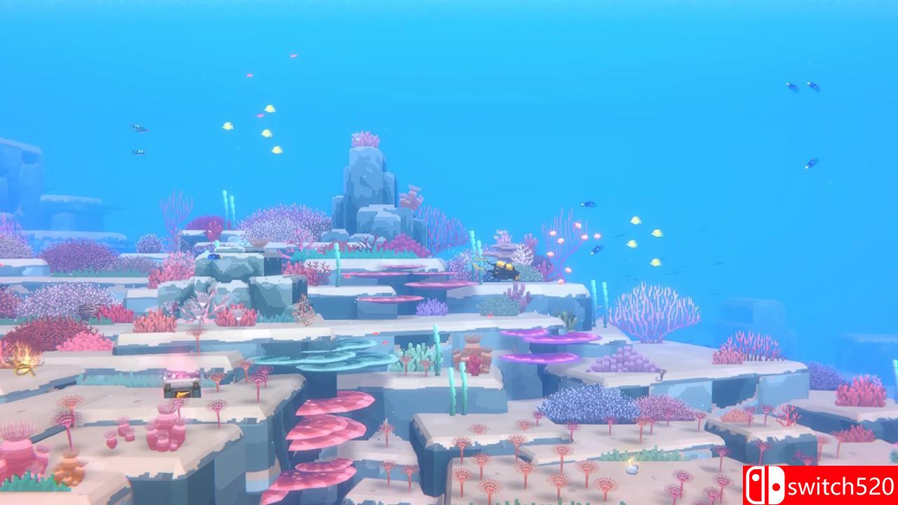 《潜水员戴夫》游戏截图4