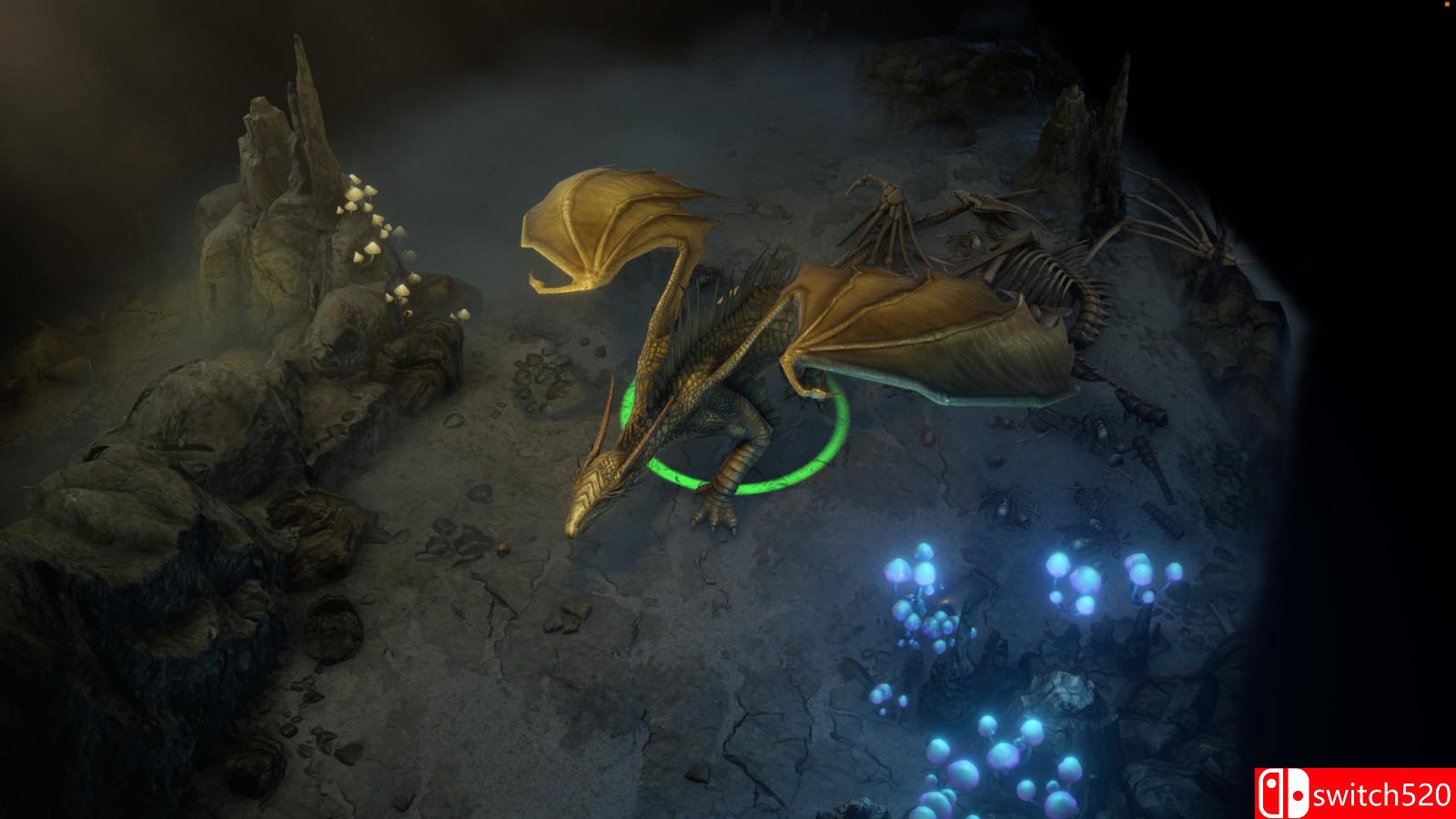 《开拓者：正义之怒 Pathfinder: Wrath of the Righteous》免安装v2.1.4w中文绿色版_2