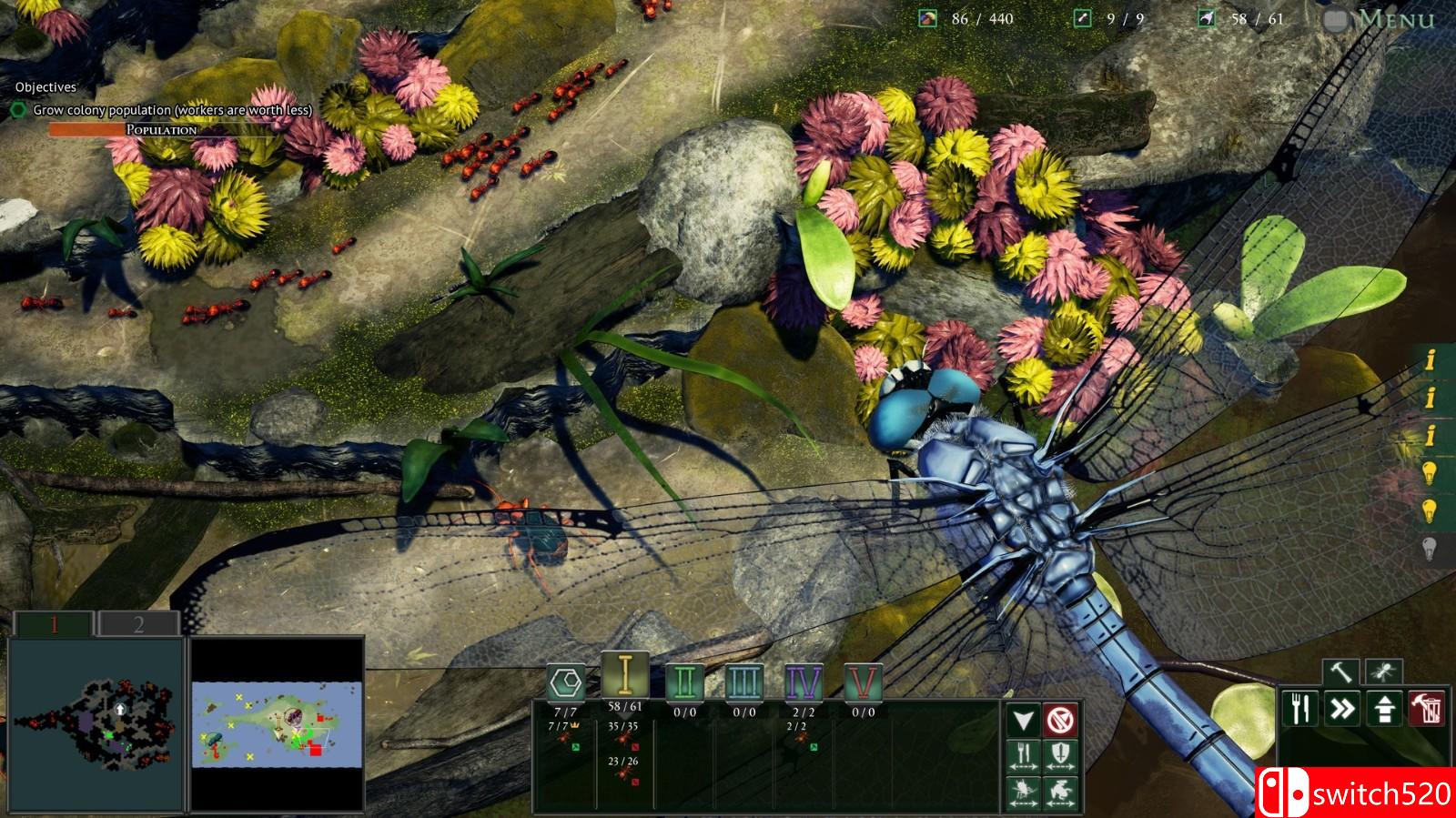 《地下蚁国 Empires of the Undergrowth》免安装v0.31中文绿色版_2