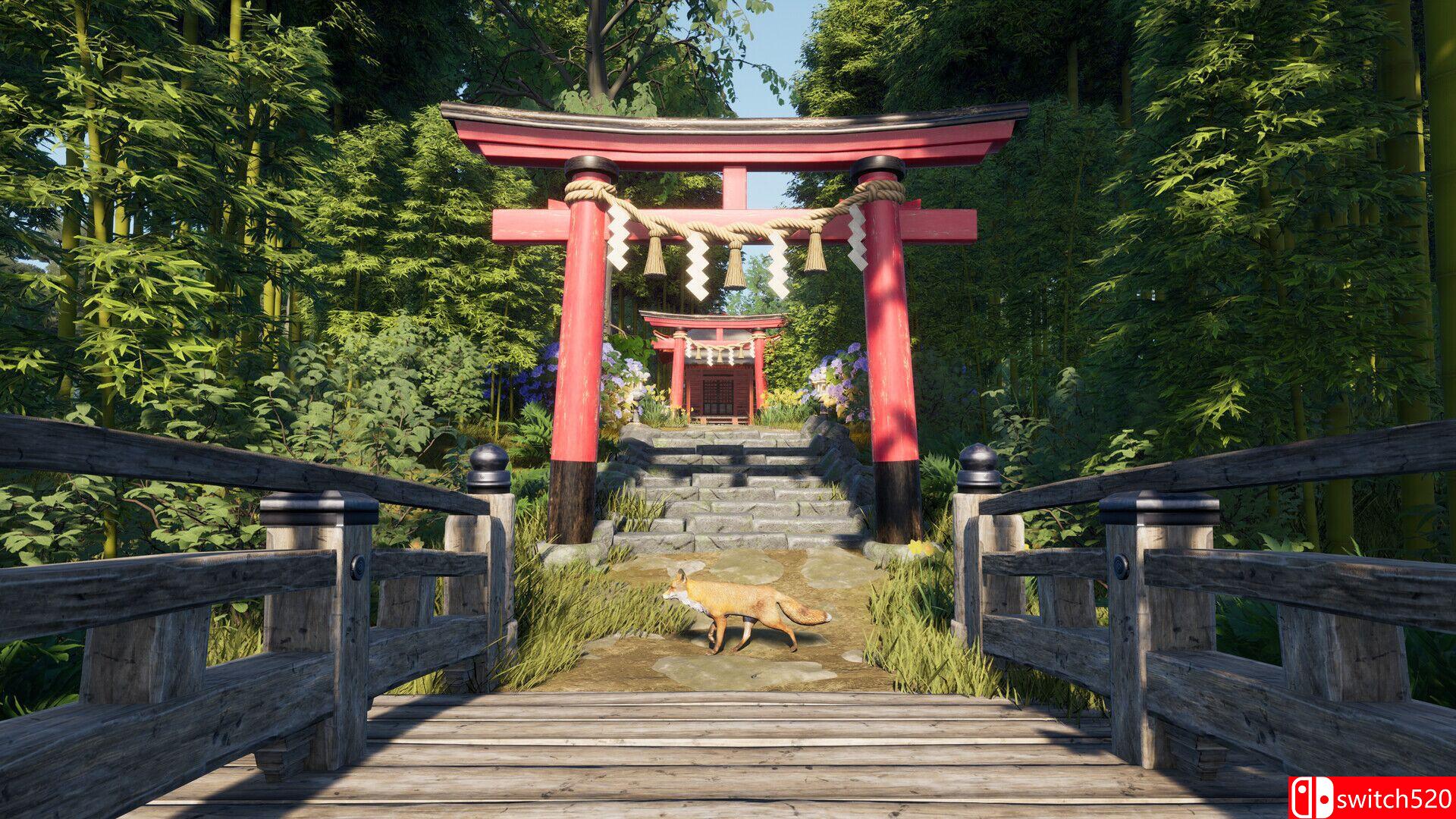 《战国王朝》游戏截图3