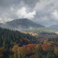 《猎人：野性的呼唤》游戏封面