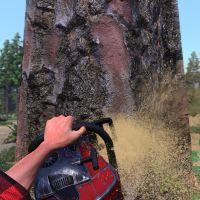 《伐木工王朝》游戏封面