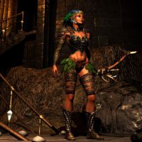 《圣域2：黄金版》游戏封面