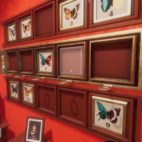 《逃脱模拟器》游戏封面图