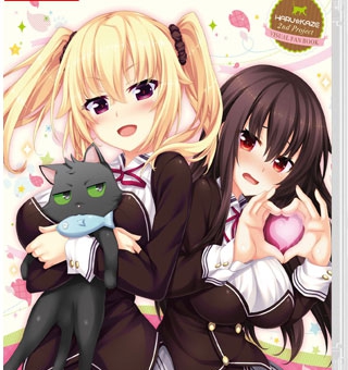 野良与皇女与流浪猫之心2 Nora and Princess and Stray Cat Heart 2