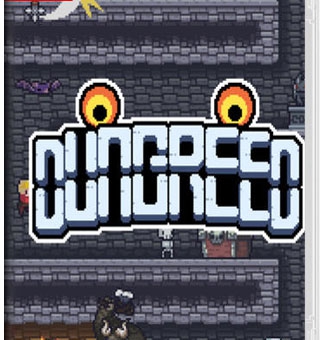 贪婪地牢 Dungreed 游戏封面