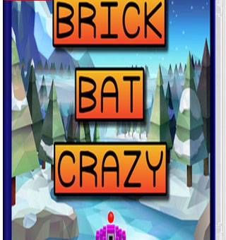 疯狂砖蝙蝠 Brick Bat Crazy_0