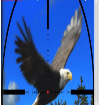 美国野外狩猎 America Wild Hunting_0