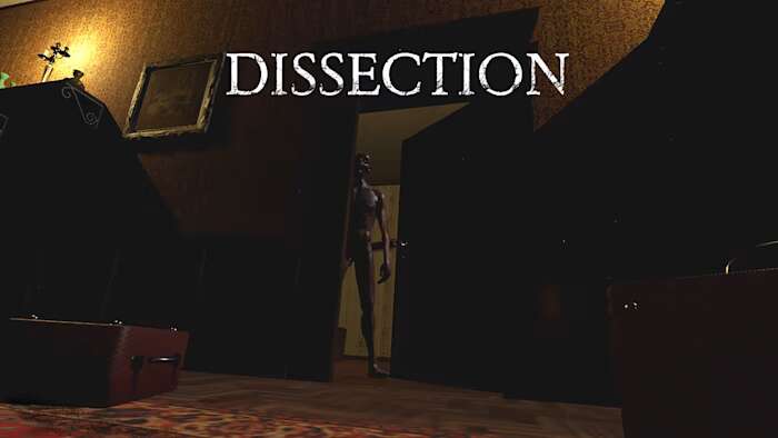 解剖丨Dissection_0