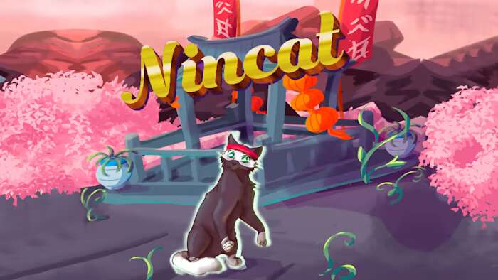 忍者猫丨Nincat_0