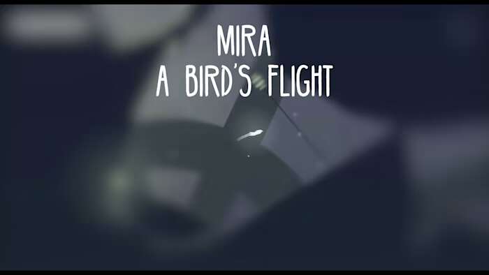 米拉：鸟儿的飞行丨Mira A Birds Flight_0
