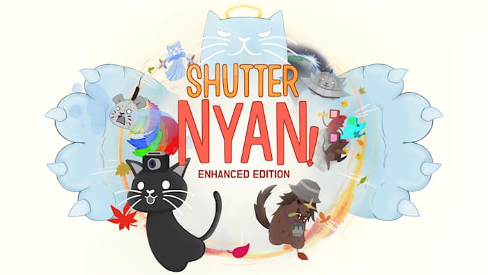 头顶相机的猫丨Shutter Nyang_0