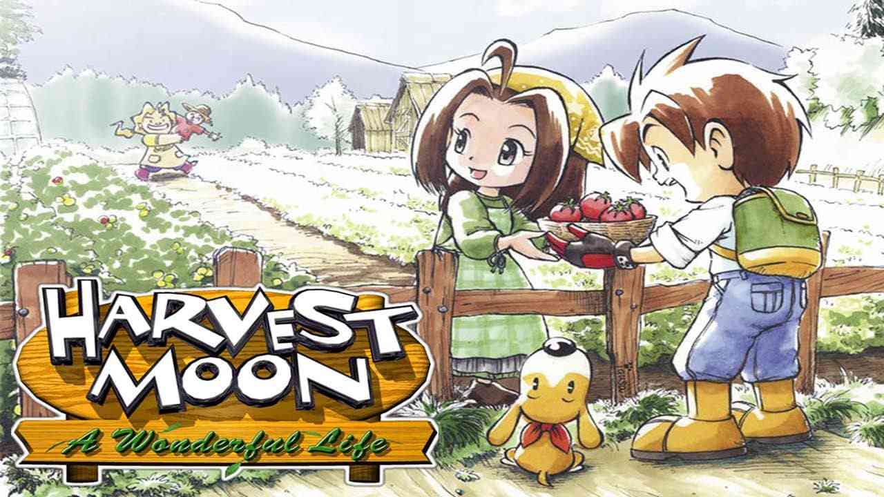 牧场物语：美好人生丨Harvest Moon: A Wonderful Life_0