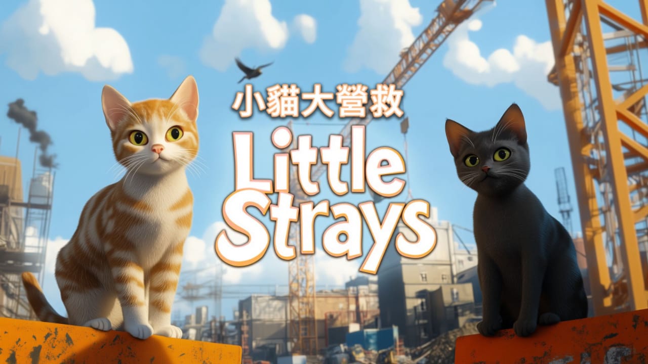 小猫大营救丨Little Strays_0