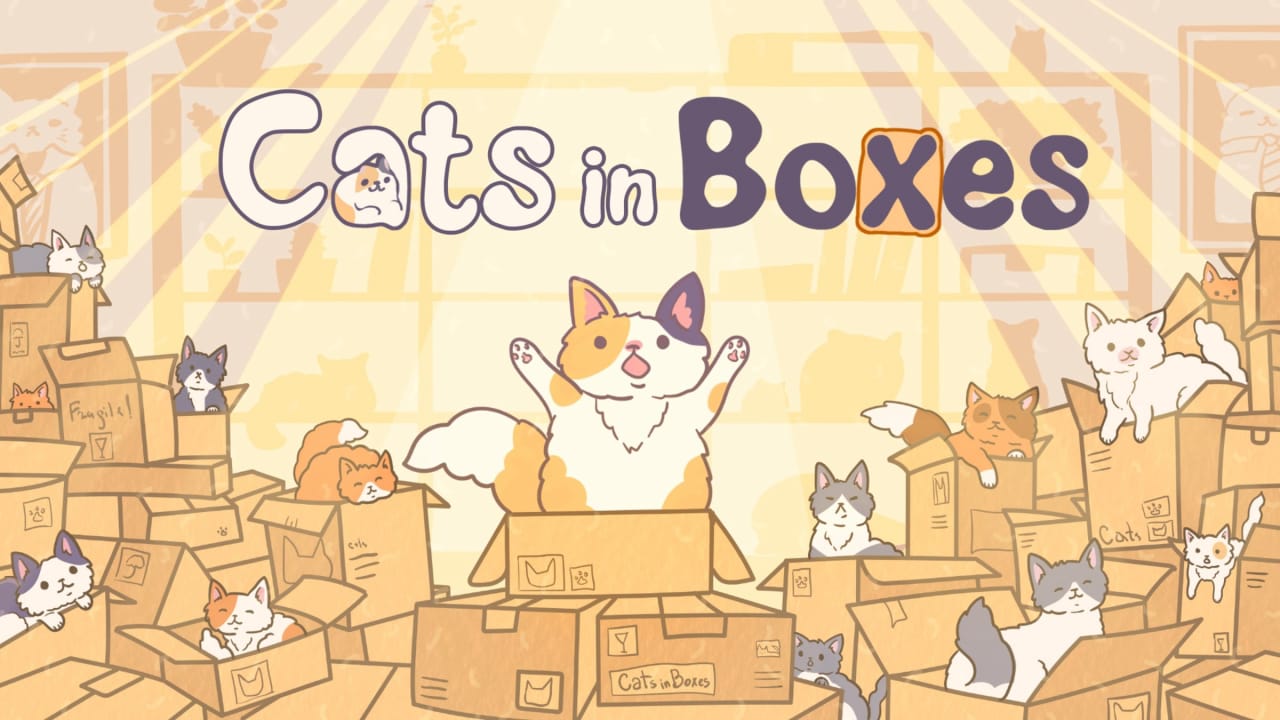 盒中猫丨Cats in Boxes_0