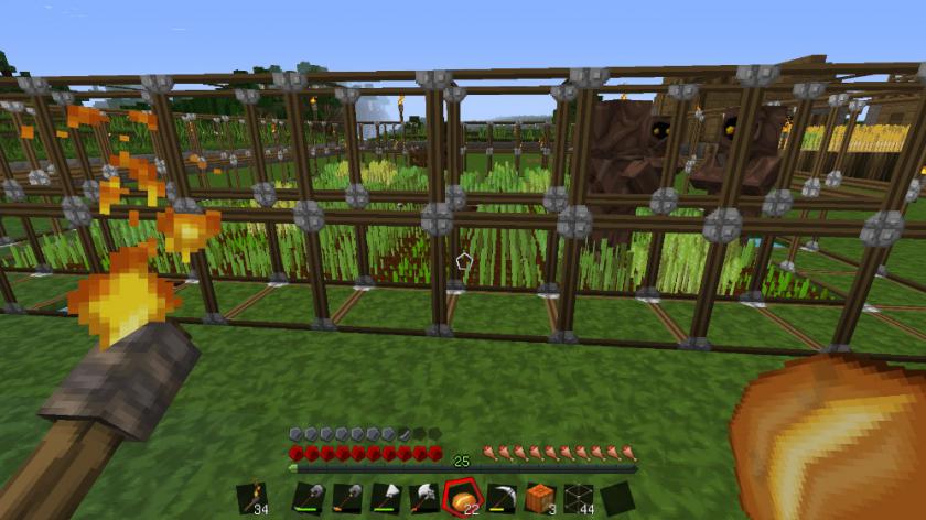 我的世界 Minecraft_4