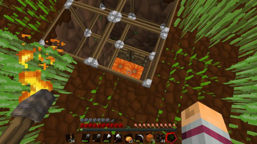 我的世界 Minecraft_2