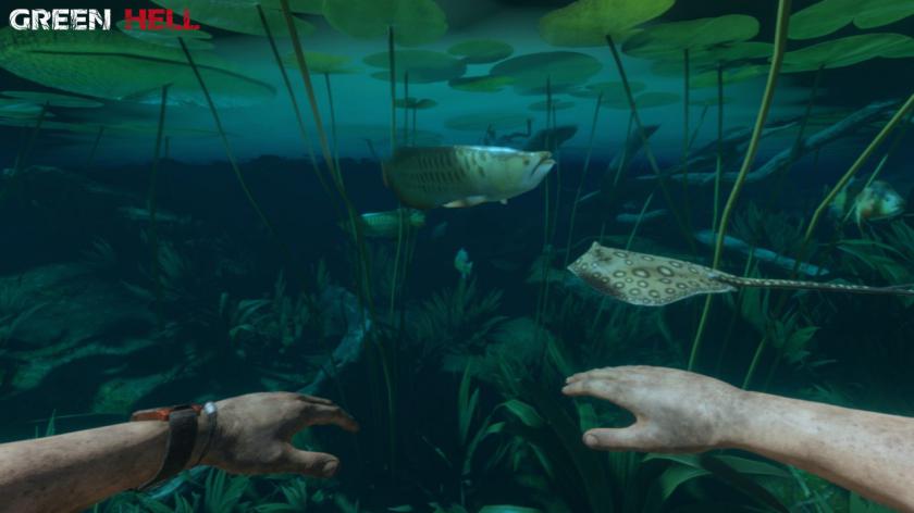 绿色地狱游戏截图4