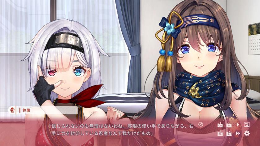 NinNinDays2游戏截图5