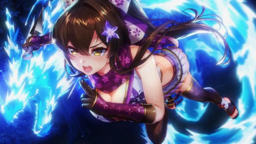 NinNinDays2游戏截图1