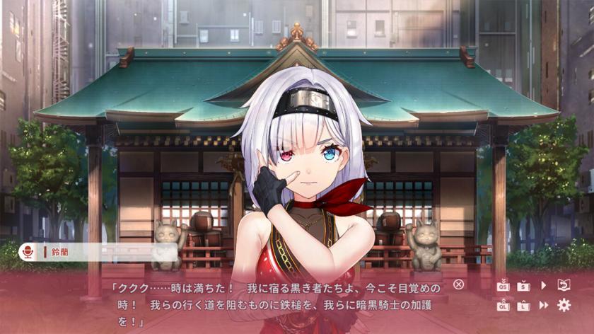 NinNinDays2游戏截图2