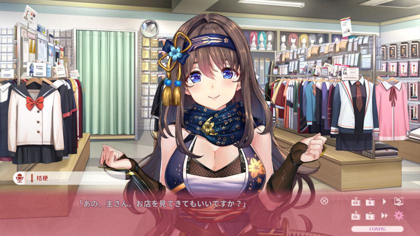 NinNinDays2游戏截图3