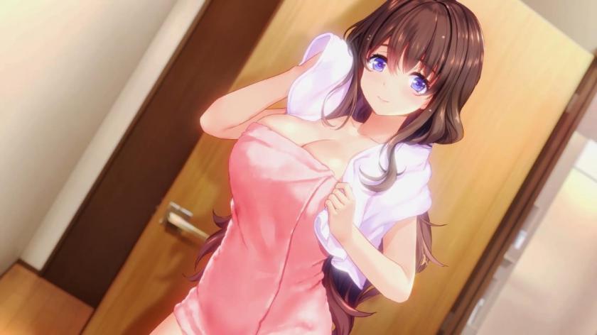 NinNinDays2游戏截图4